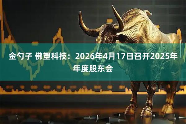 金勺子 佛塑科技：2026年4月17日召开2025年年度股东会